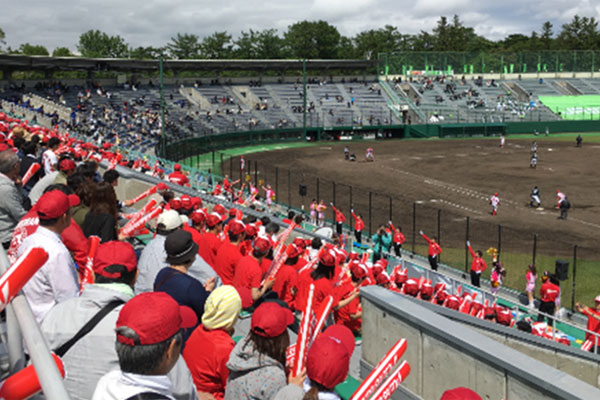 6月 札幌円山球場での野球応援