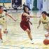 新和産業カップ開催 ～ 新和新聞 ～
